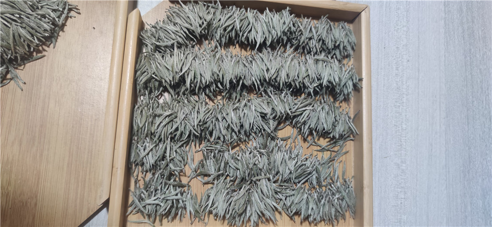 微信图片_20220530144252.jpg